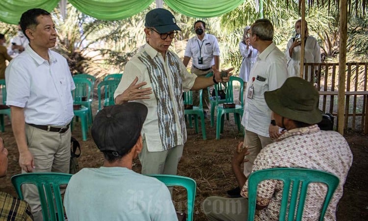 Dukungan Pembiayaan Petani Kelapa Sawit Oleh OJK