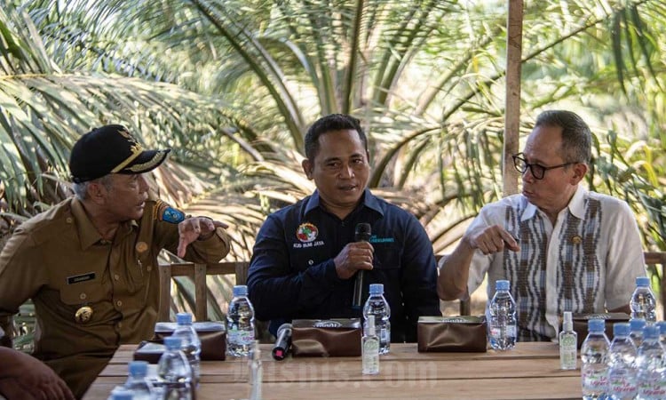 Dukungan Pembiayaan Petani Kelapa Sawit Oleh OJK