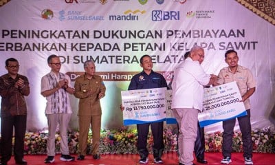 Dukungan Pembiayaan Petani Kelapa Sawit Oleh OJK