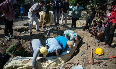 Penemuan Fosil Gading Gajah Purba di Jawa Tengah