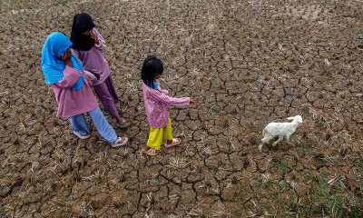 Sejumlah Wilayah di Indonesia Kekeringan Akibat Fenomena El Nino 