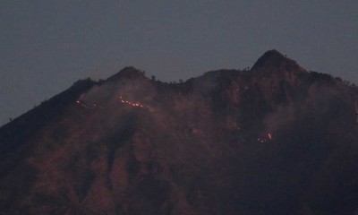 Api Membakar Kawasan Gunung Merapi Ungup-Ungup di Banyuwangi