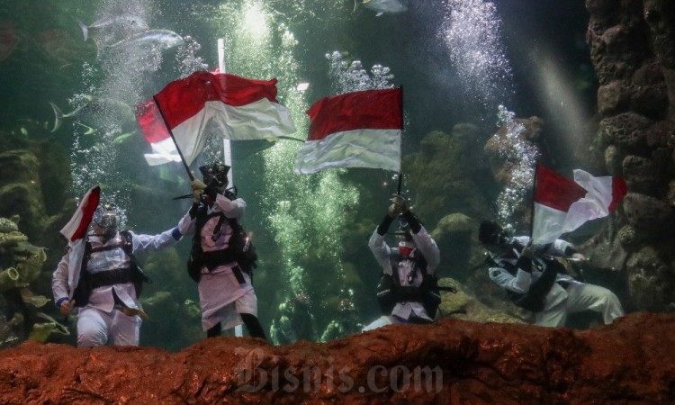Taman Impian Jaya Ancol Akan Mengibarkan Bendera Merah Putih di Akuarium Sea World