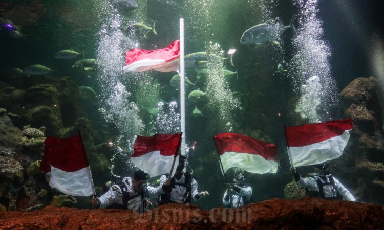 Taman Impian Jaya Ancol Akan Mengibarkan Bendera Merah Putih di Akuarium Sea World