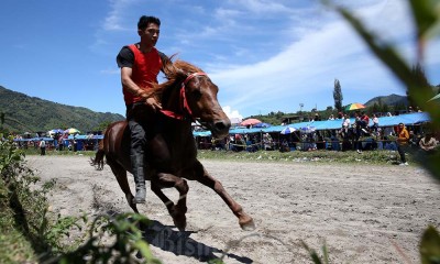 Pacuan Kuda Tradisional Gayo