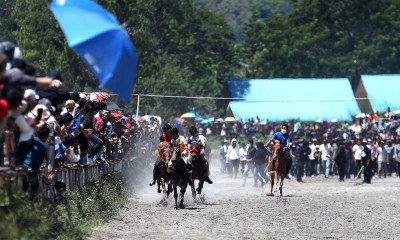 Pacuan Kuda Tradisional Gayo