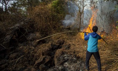 Kawasan Hutan di Lereng Gunung Ciremai Kuningan Terbakar