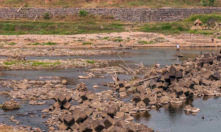 Sungai Ciberang-Ciujung di Banten Mulai Mengering Akibat Musim Kemarau