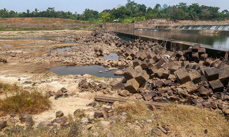 Sungai Ciberang-Ciujung di Banten Mulai Mengering Akibat Musim Kemarau