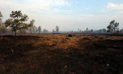 BMKG Menyatakan Ada Sebanyak 554 Titik Panas Kebakaran Hutan dan Lahan Gambut di Kalimantan Barat 