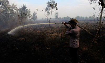 BMKG Menyatakan Ada Sebanyak 554 Titik Panas Kebakaran Hutan dan Lahan Gambut di Kalimantan Barat 