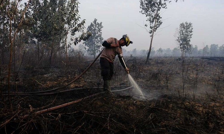 BMKG Menyatakan Ada Sebanyak 554 Titik Panas Kebakaran Hutan dan Lahan Gambut di Kalimantan Barat 