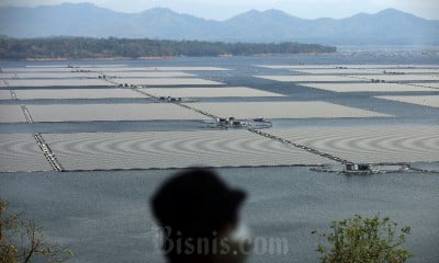 PLTS Terapung Cirata di Waduk Cirata Menjadi Yang Terbesar se-Asia Tenggara