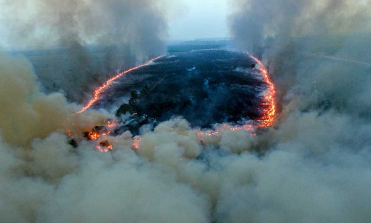 Kebakaran Lahan Terjadi di Samping Jalan Tol Trans Sumatera (JTTS) Luas Palembang-Indralaya