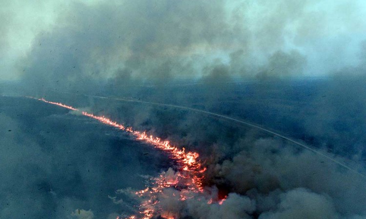 Kebakaran Lahan Terjadi di Samping Jalan Tol Trans Sumatera (JTTS) Luas Palembang-Indralaya