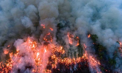 Kebakaran Lahan Terjadi di Samping Jalan Tol Trans Sumatera (JTTS) Luas Palembang-Indralaya