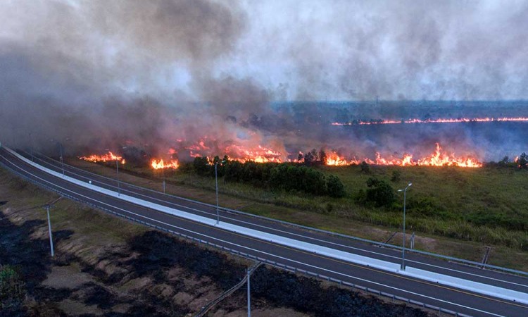 Kebakaran Lahan Terjadi di Samping Jalan Tol Trans Sumatera (JTTS) Luas Palembang-Indralaya