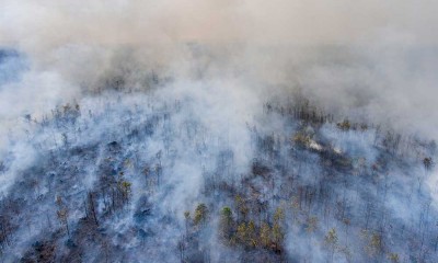 Kebakaran Lahan Gambut di Sumatra Selatan Belum Bisa Dipadamkan
