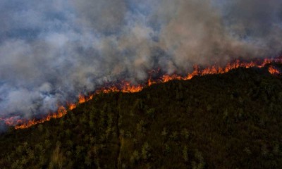 Kebakaran Lahan Gambut di Sumatra Selatan Belum Bisa Dipadamkan