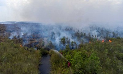 Kebakaran Lahan Gambut di Sumatra Selatan Belum Bisa Dipadamkan