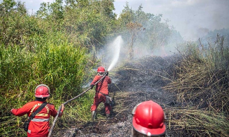 Kebakaran Lahan Gambut di Sumatra Selatan Belum Bisa Dipadamkan