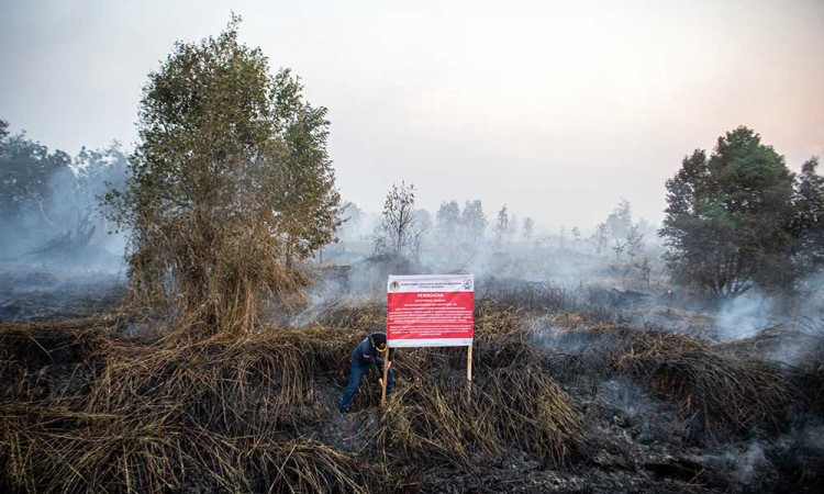 Penyegelan Lahan Yang Terbakar di OKI Sumatra Selatan