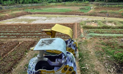 Sebanyak 11 Kabupaten di Jawa Barat Alami Bencana Hidrometeorologi Kekeringan
