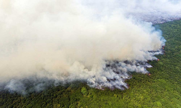 Kebakaran Lahan Gambut di OKI Sumatra Selatan Makin Meluas