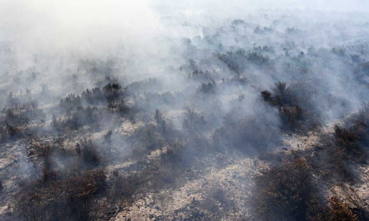 Kebakaran Lahan Gambut di OKI Sumatra Selatan Makin Meluas
