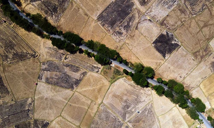 Ratusan Hektare Lahan Pertanian di Sulsel Alami Kekeringan Akibat Fenomena El Nino