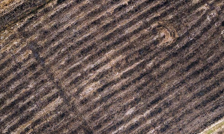 Ratusan Hektare Lahan Pertanian di Sulsel Alami Kekeringan Akibat Fenomena El Nino