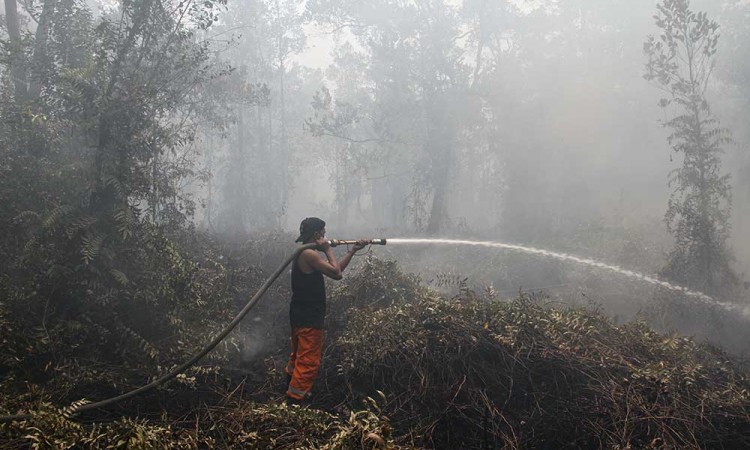 Sepanjang 2023, Kebakaran Hutan di Lahan di Kallimantan Tengah Mencapai 2.541 Kejadian