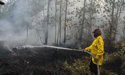 Sepanjang 2023, Kebakaran Hutan di Lahan di Kallimantan Tengah Mencapai 2.541 Kejadian