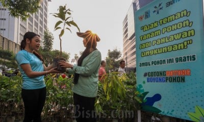 Gotong Royong Boyong Pohon