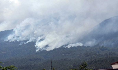 Kebakaran Hutan di Gunung Lawu Terus Meluas