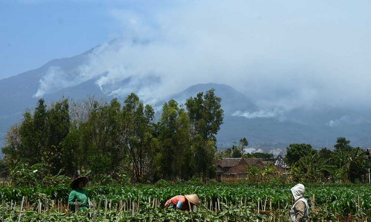 Kebakaran Hutan di Gunung Lawu Terus Meluas