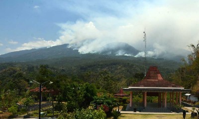 Kebakaran Hutan di Gunung Lawu Terus Meluas