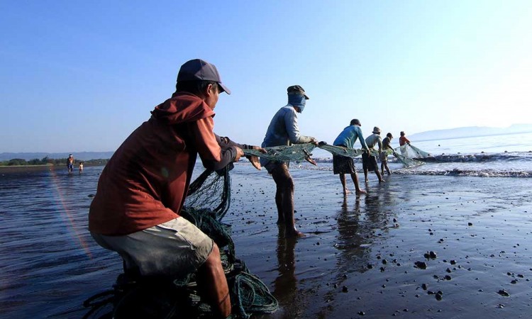 Nelayan di Banyuwangi Gunakan Jaring Tarik Untuk Menangkap Ikan