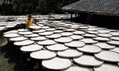 Produksi Tepung Tapioka di Jawa Barat Menurun Hingga 50 Persen 