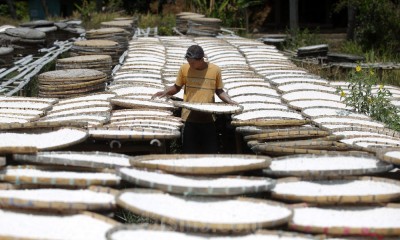 Produksi Tepung Tapioka di Jawa Barat Menurun Hingga 50 Persen 