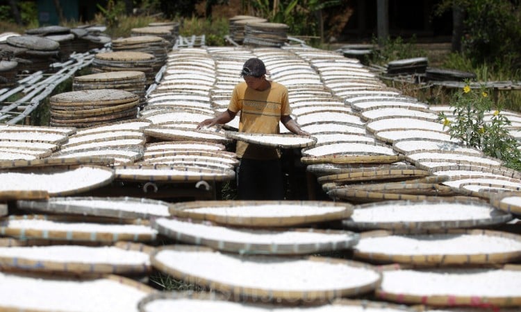 Produksi Tepung Tapioka di Jawa Barat Menurun Hingga 50 Persen 