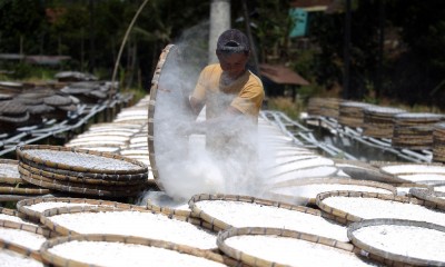 Produksi Tepung Tapioka di Jawa Barat Menurun Hingga 50 Persen 