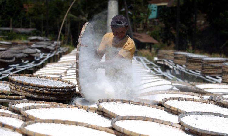 Produksi Tepung Tapioka di Jawa Barat Menurun Hingga 50 Persen 