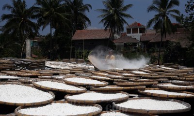 Produksi Tepung Tapioka di Jawa Barat Menurun Hingga 50 Persen 