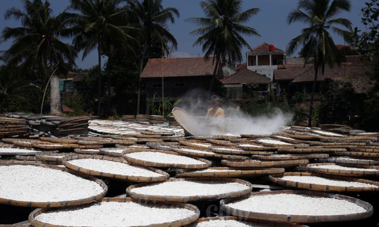 Produksi Tepung Tapioka di Jawa Barat Menurun Hingga 50 Persen 