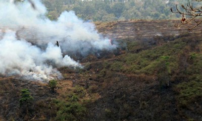 Kebakaran Hutan dan Lahan (Karhutla) di Kabupaten Jombang Terus Mengalami Peningkatan
