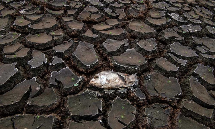 Sejumlah Wilayah di Indonesia Masih Mengalami Kekeringan Akibat Efek El Nino