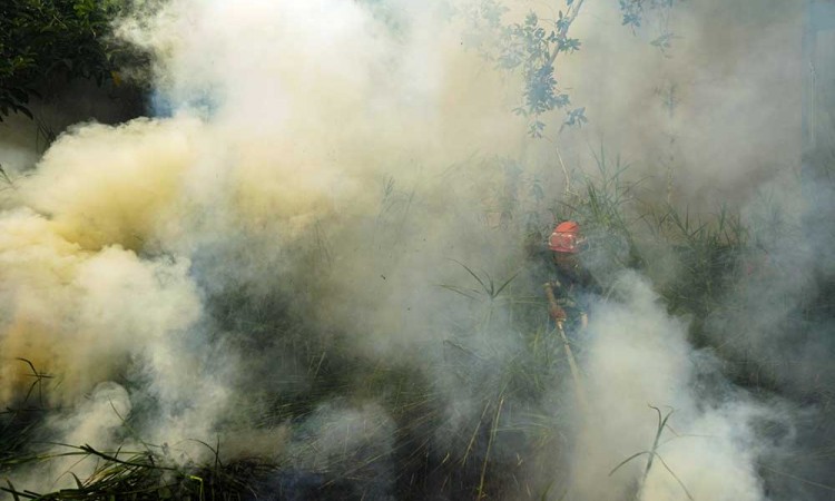 Karhutla Yang Semakin Meluas di Kalimantan Selatan Kini Mulai Mengancam Permukiman Warga