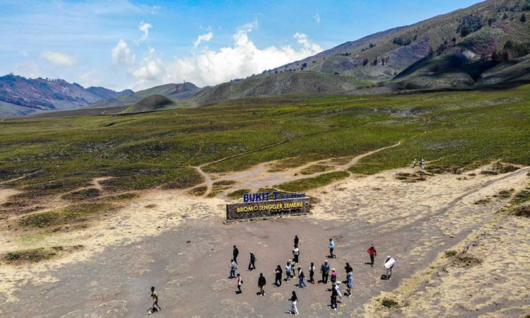 Kawasan Bukit Teletubbies di Gunung Bromo Kembali Menghijau