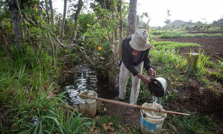 BMKG Memprediksi Fenomena El Nino dan Indian Ocean Dipole (IOD) Masih Akan Berlangsung Hingga Akhir Tahun 2023